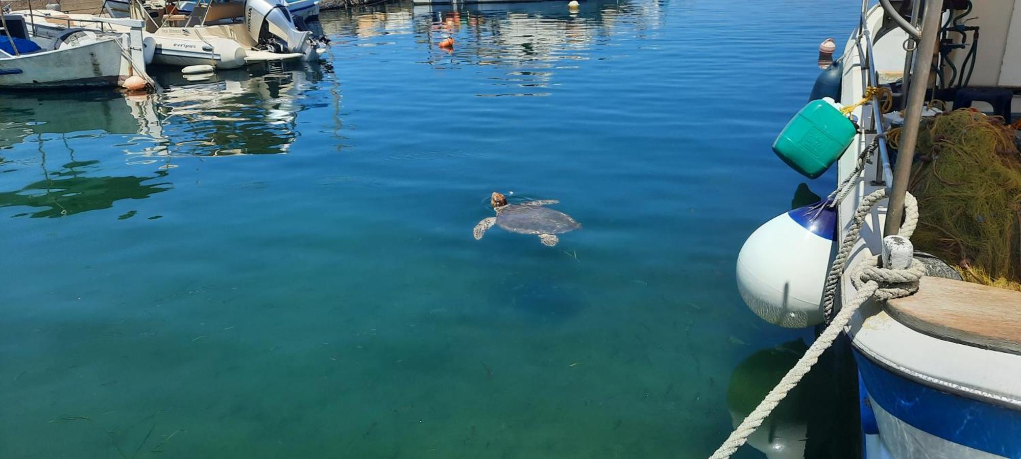 Poseidon Suites Hotel Stavrós Zewnętrze zdjęcie